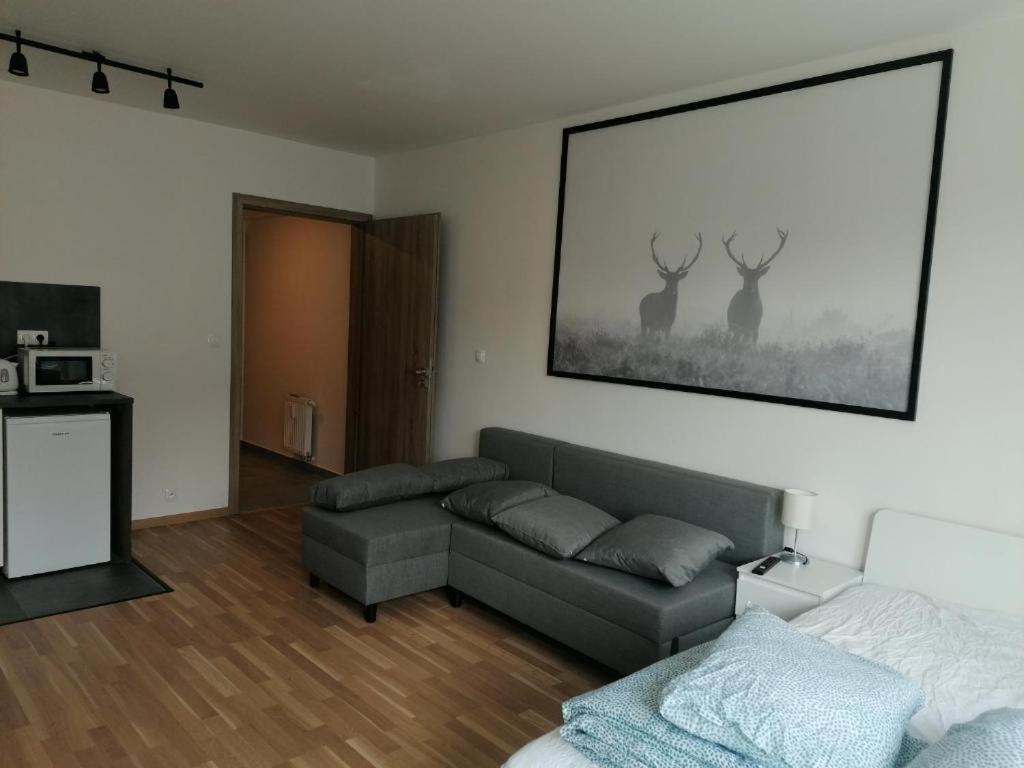Brand New Two #23 With Free Parking In The Center * Praga